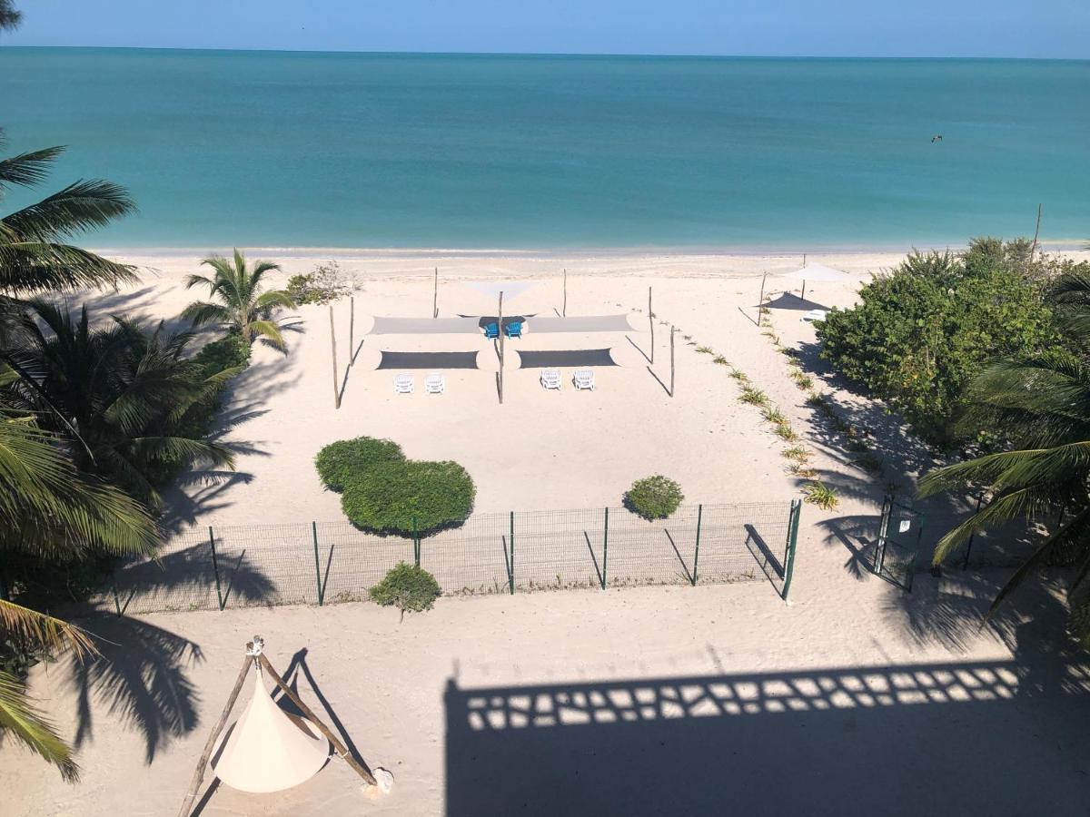 Playa 55 Beach Escape - Adults Only Guesthouse Celestun Extérieur photo