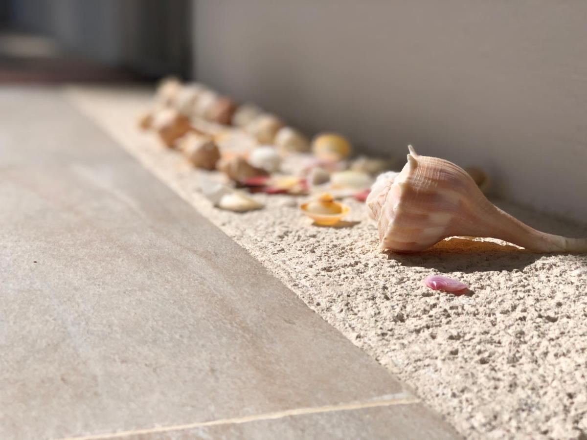 Playa 55 Beach Escape - Adults Only Guesthouse Celestun Extérieur photo