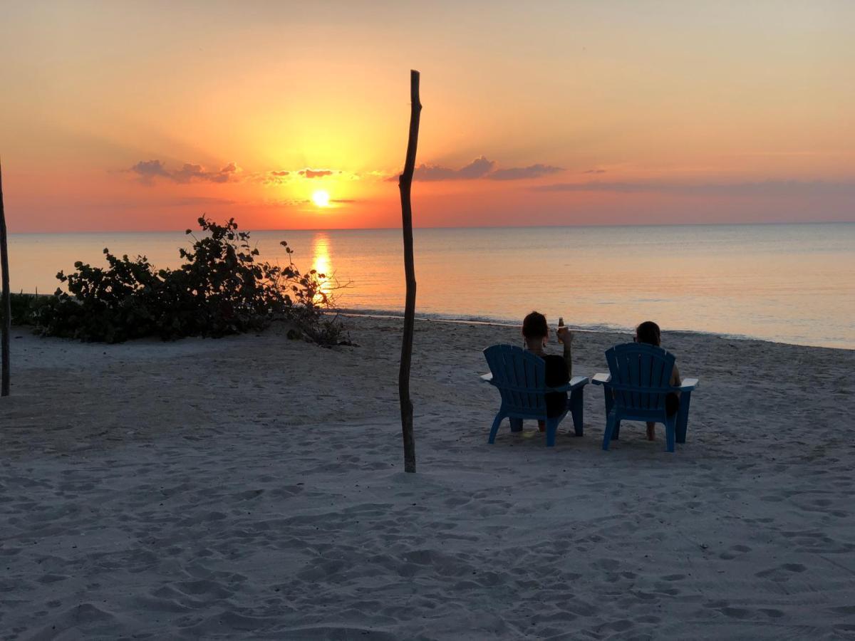 Playa 55 Beach Escape - Adults Only Guesthouse Celestun Extérieur photo