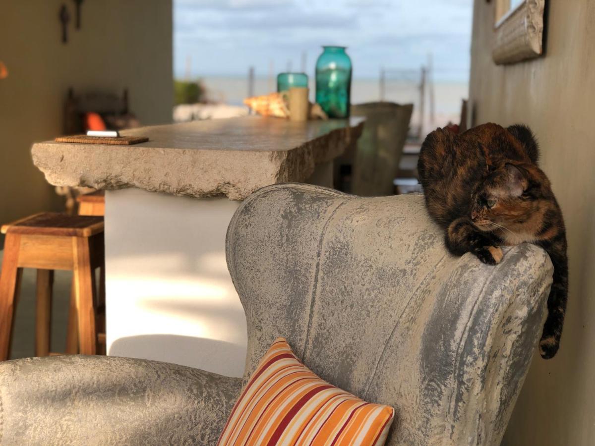 Playa 55 Beach Escape - Adults Only Guesthouse Celestun Extérieur photo