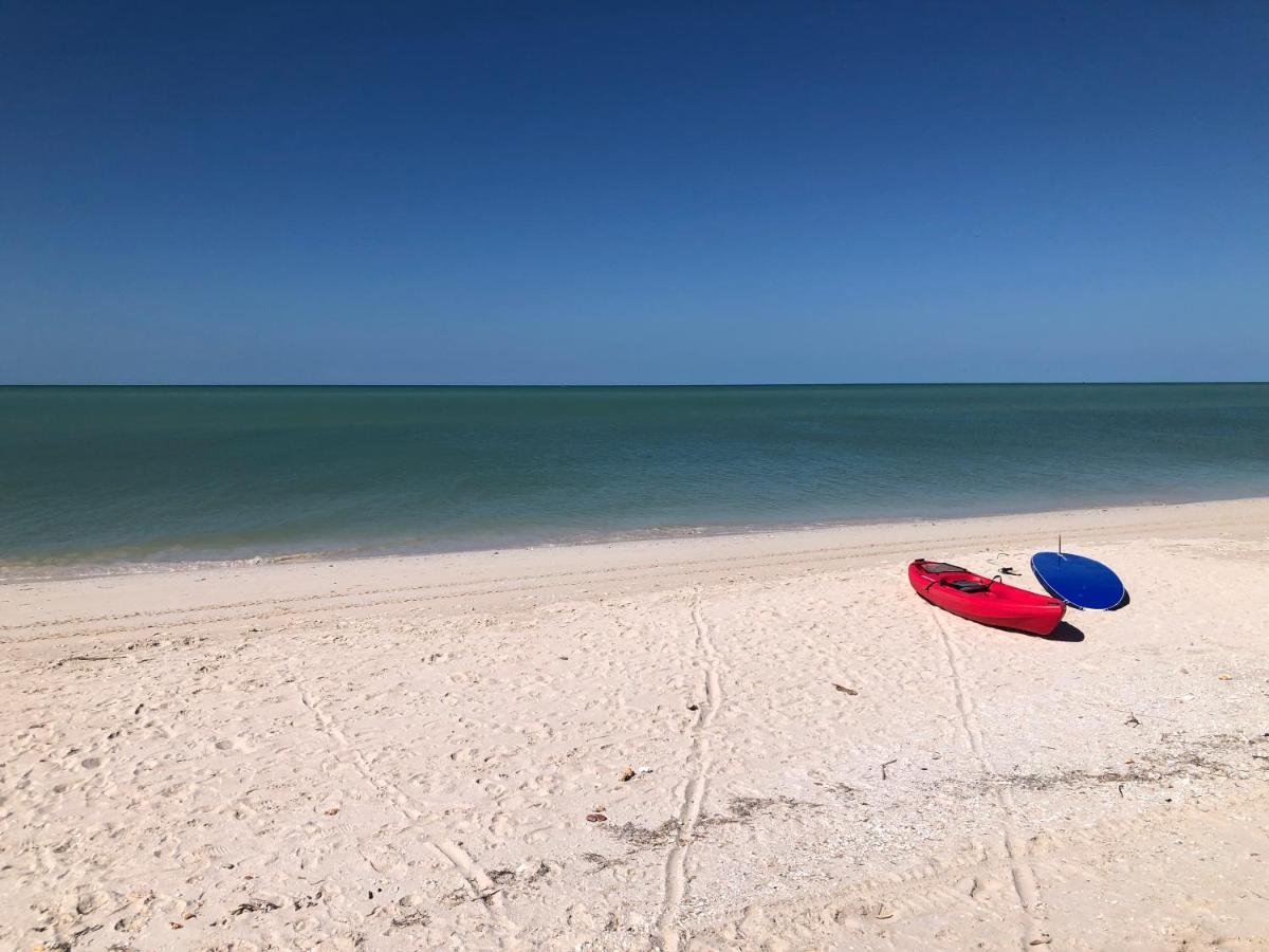 Playa 55 Beach Escape - Adults Only Guesthouse Celestun Extérieur photo