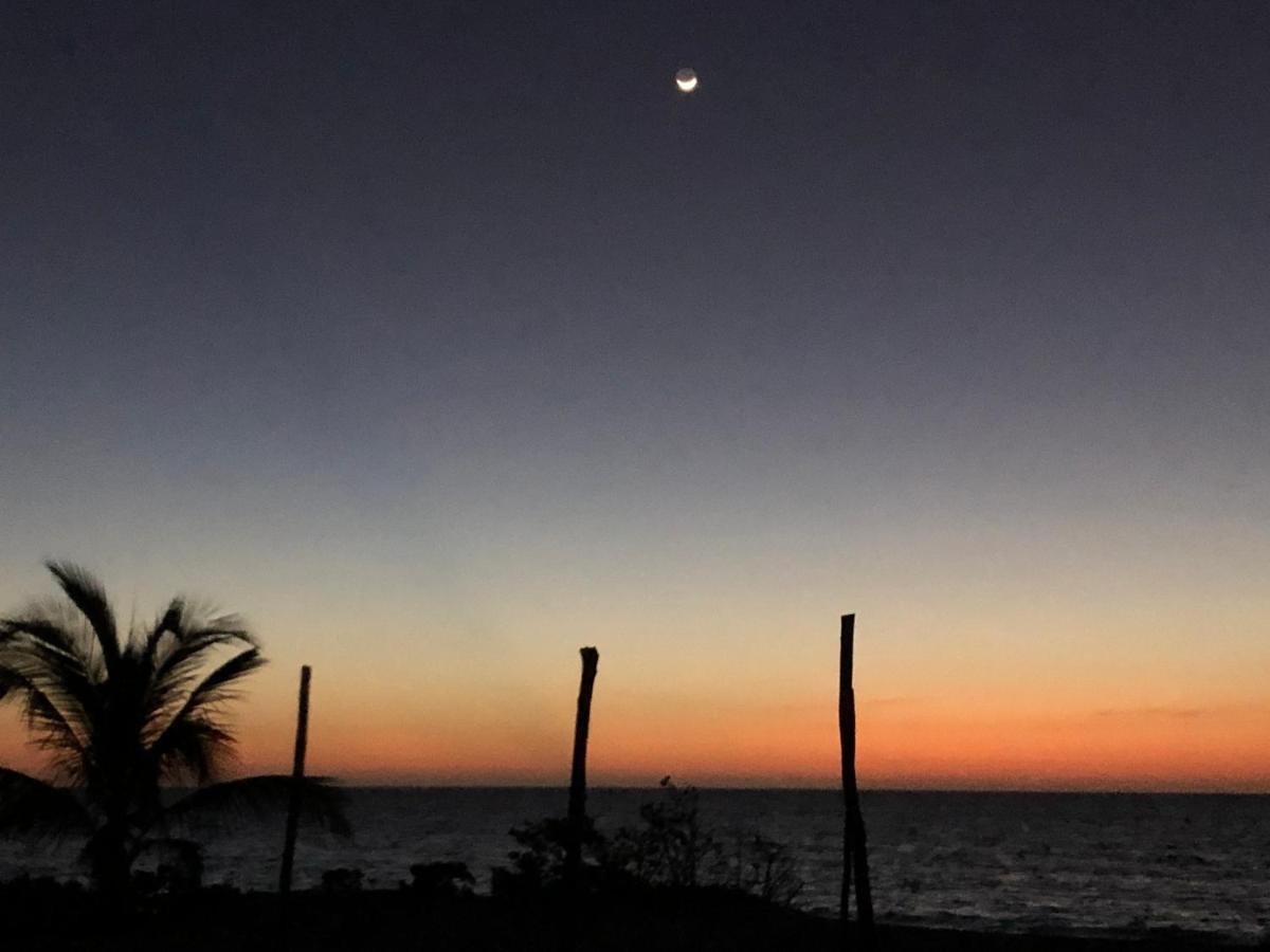 Playa 55 Beach Escape - Adults Only Guesthouse Celestun Extérieur photo